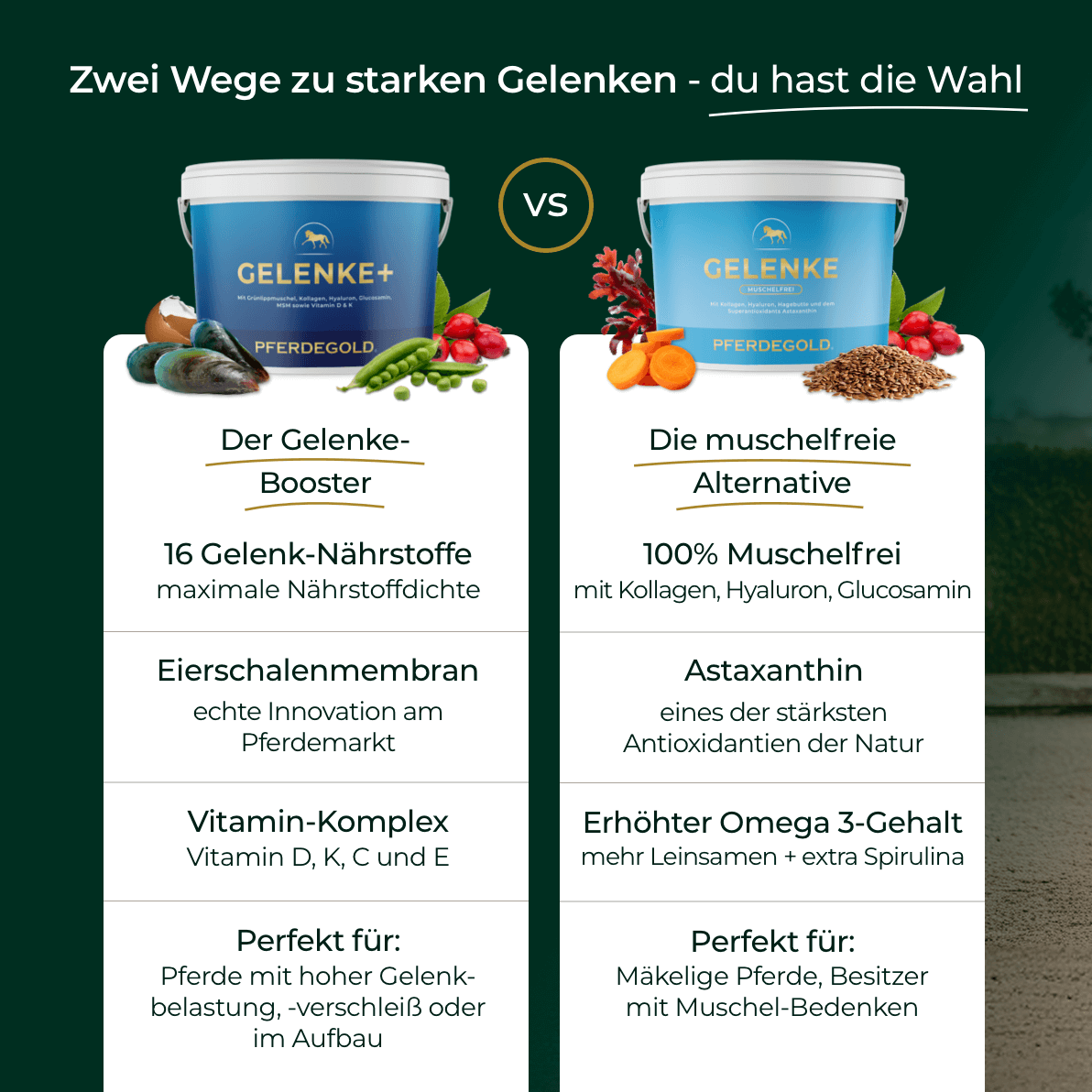 Pferdegold® Gelenke+ 2.0 – Gelenknahrung für Pferde mit Omega 3
