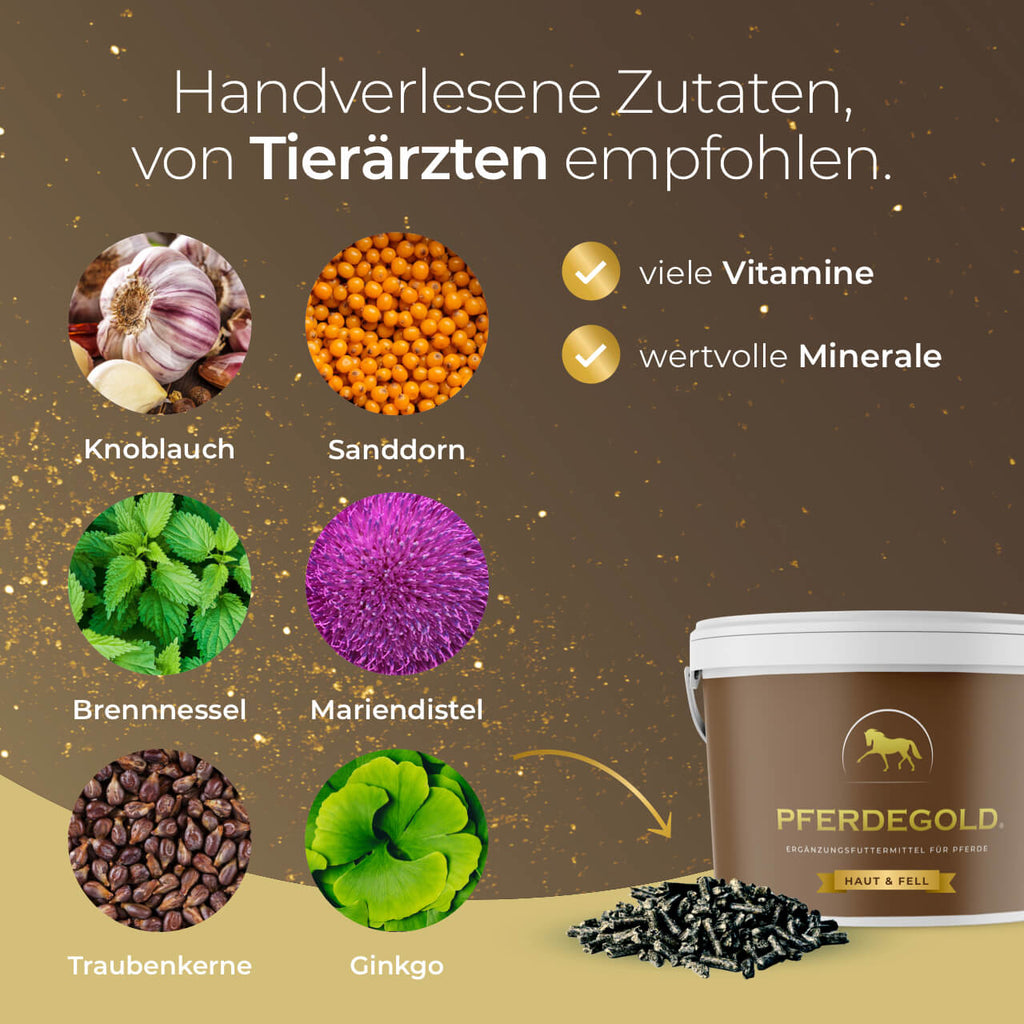 Pferdegold® Haut & Fell – Ergänzungsfutter für Fell & Haut des Pferdes mit Biotin & Zink
