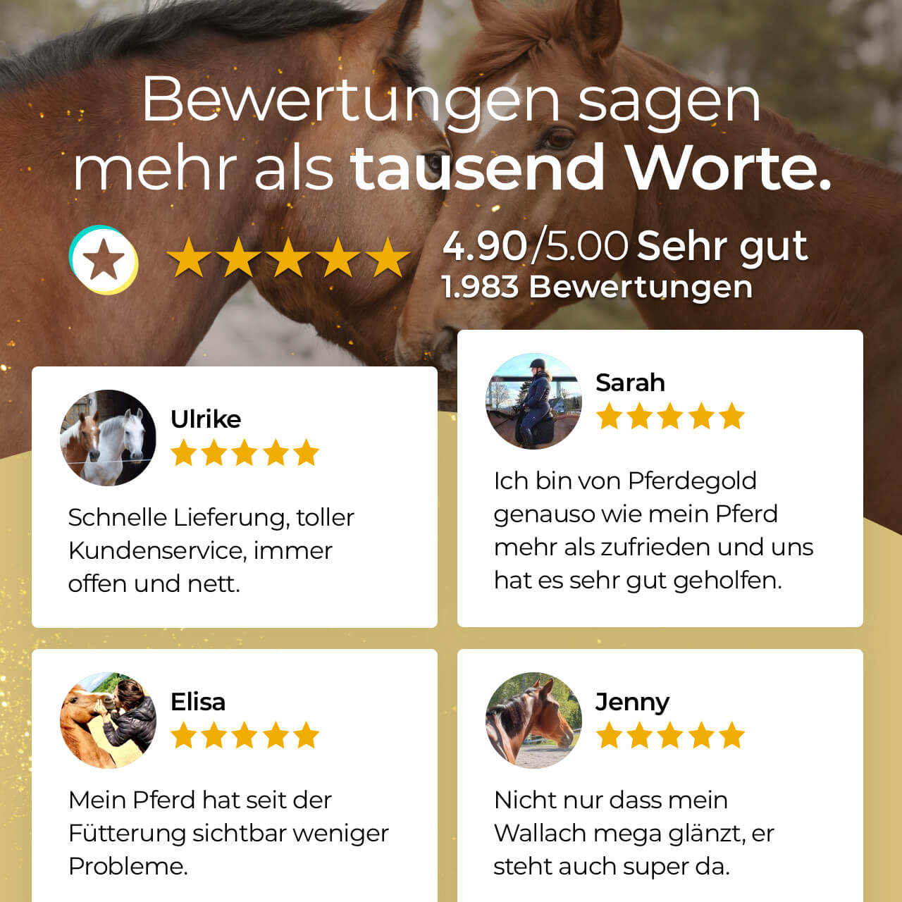 Pferdegold® Haut & Fell Spray – Fellpflege-Spray für Pferde 1 L