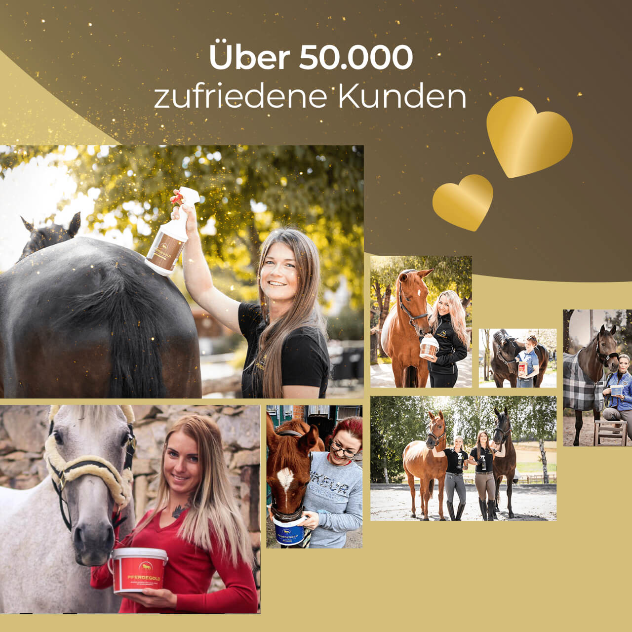 Pferdegold® Haut & Fell Spray – Fellpflege-Spray für Pferde 1 L