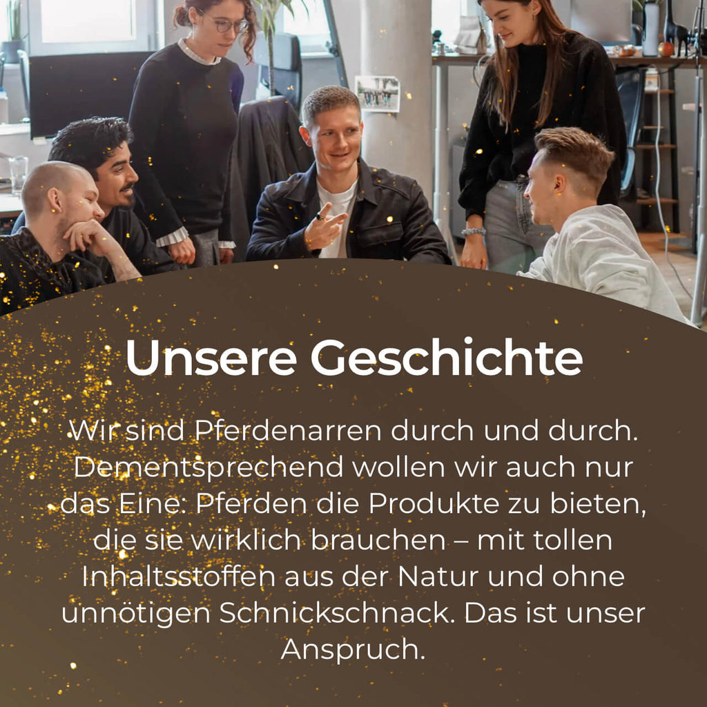 Pferdegold® Haut & Fell Spray – Fellpflege-Spray für Pferde 1 L