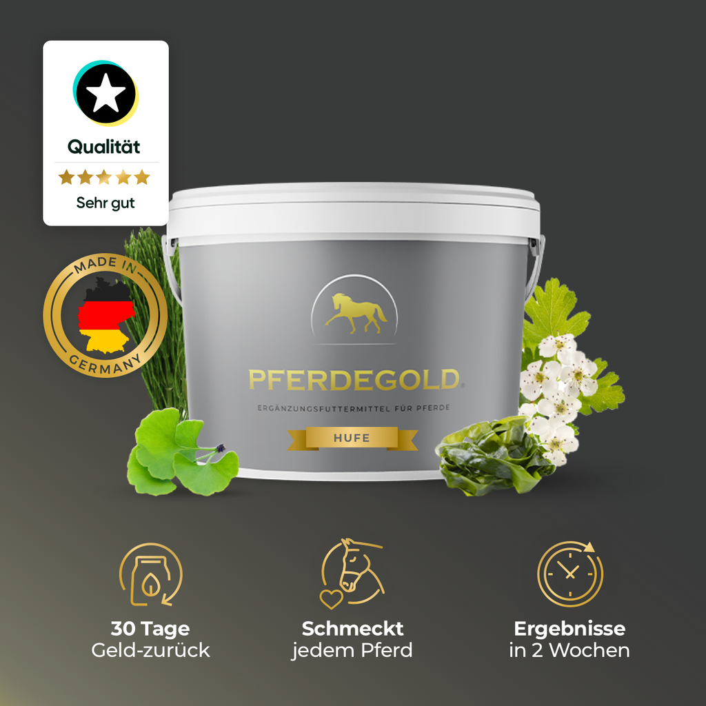 Pferdegold® Hufe – Ergänzungsfutter für gesunde Pferdehufe mit Biotin & Zink