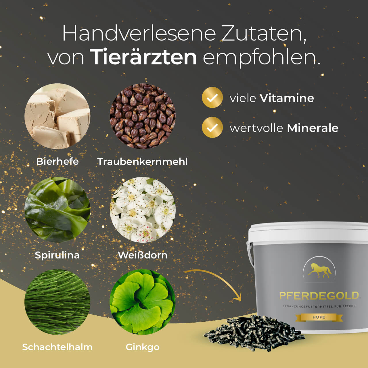 Pferdegold® Hufe – Ergänzungsfutter für gesunde Pferdehufe mit Biotin & Zink