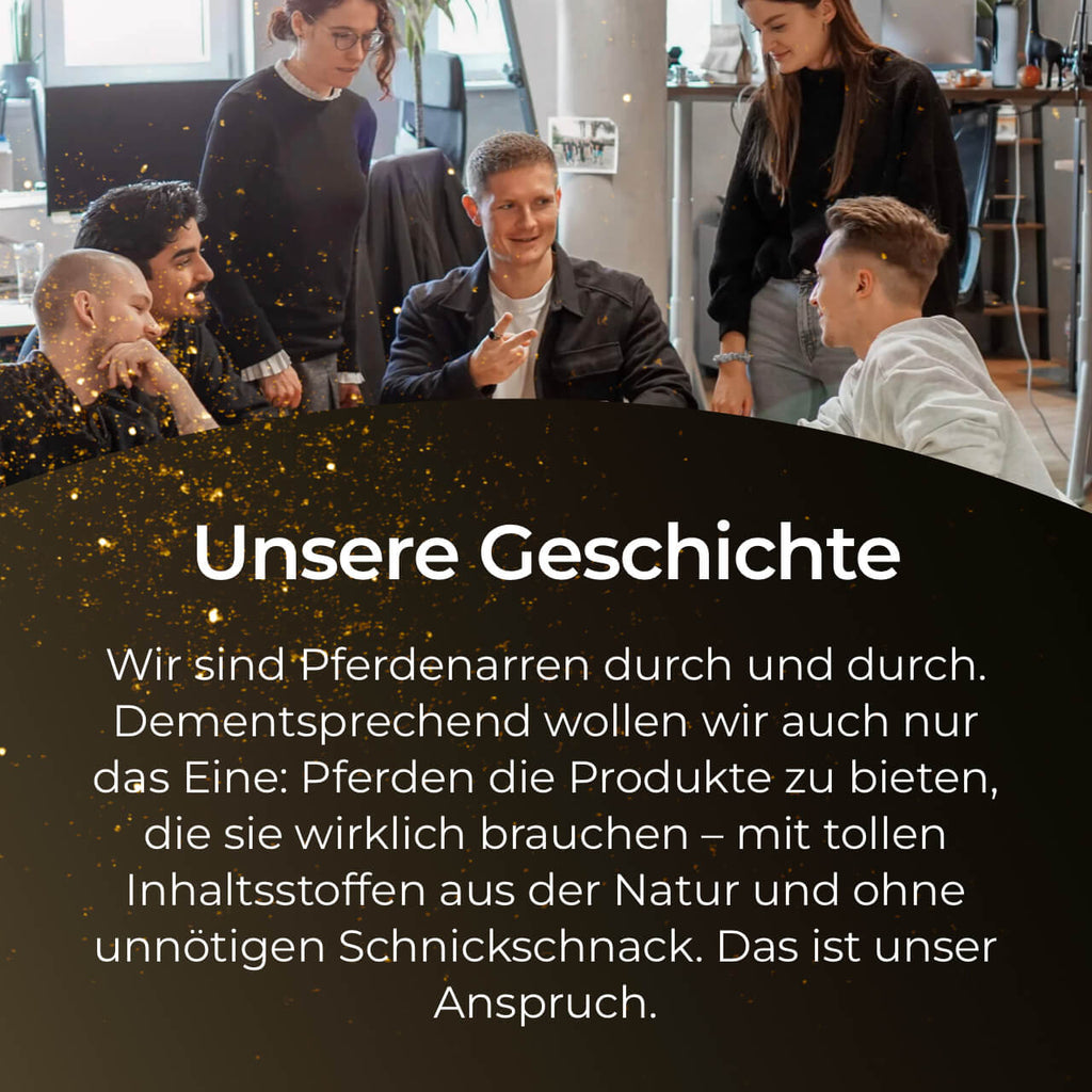 Pferdegold® Kardätsche – Pferdebürste mit Synthetik-Borsten & Handschlaufe