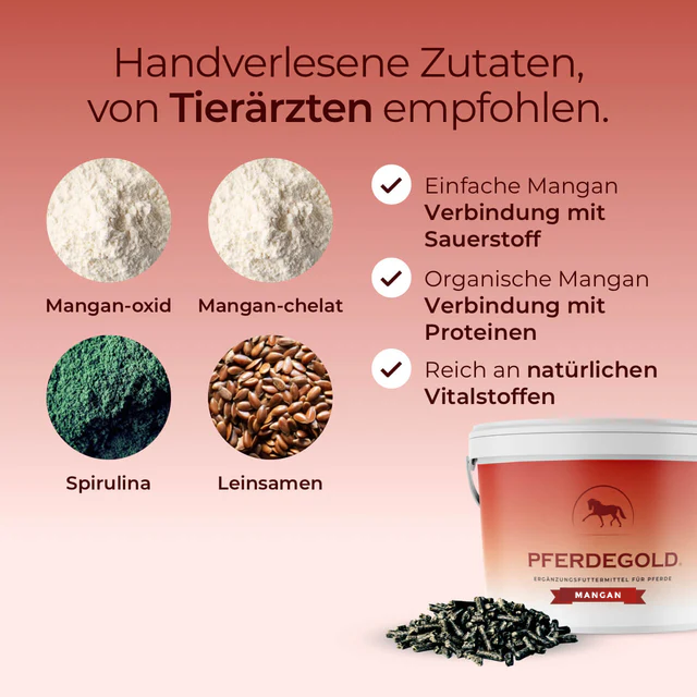 Pferdegold® Mangan – Spurenelement-Ergänzung für Pferde mit Leinsaat & Spirulina