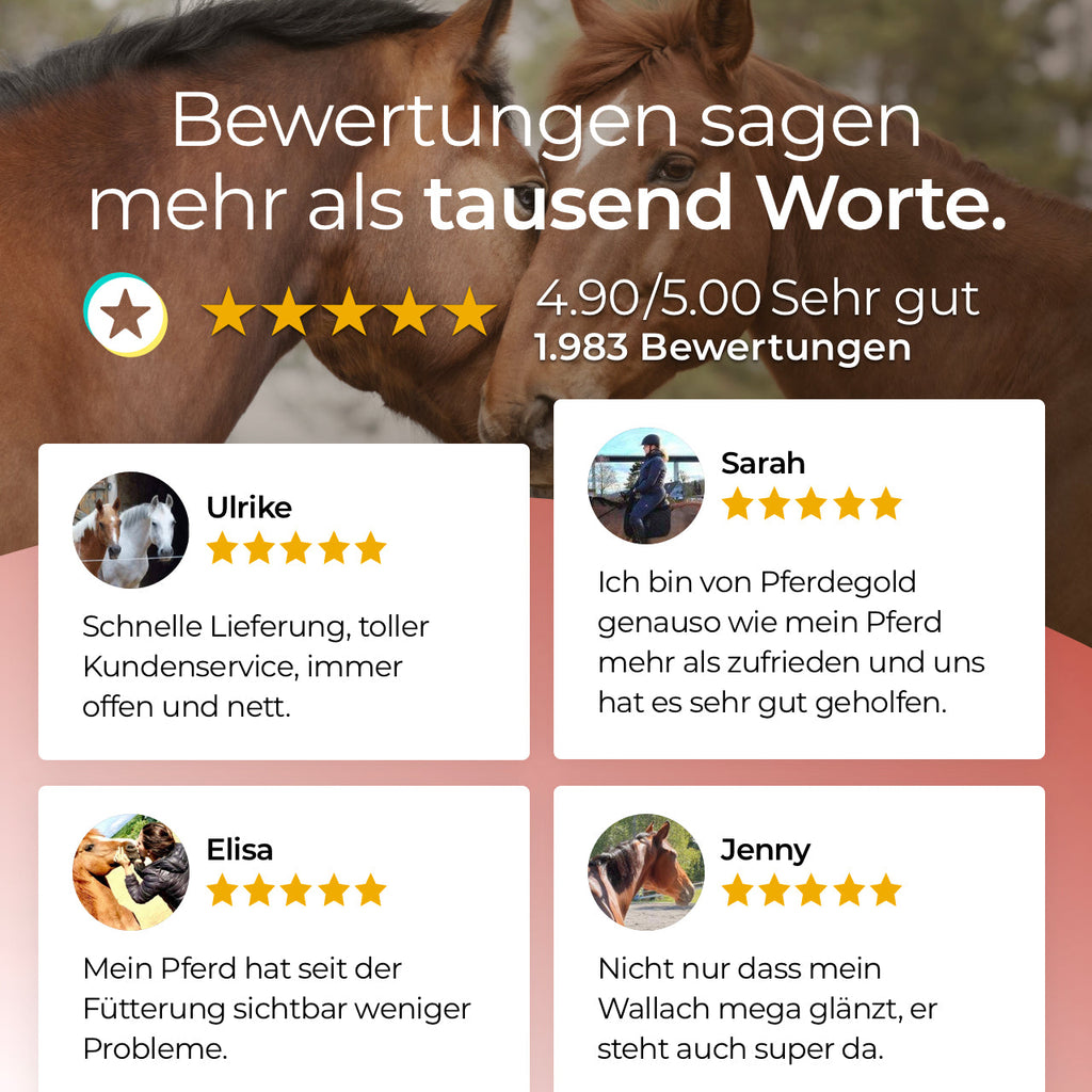Pferdegold® Mangan – Spurenelement-Ergänzung für Pferde mit Leinsaat & Spirulina