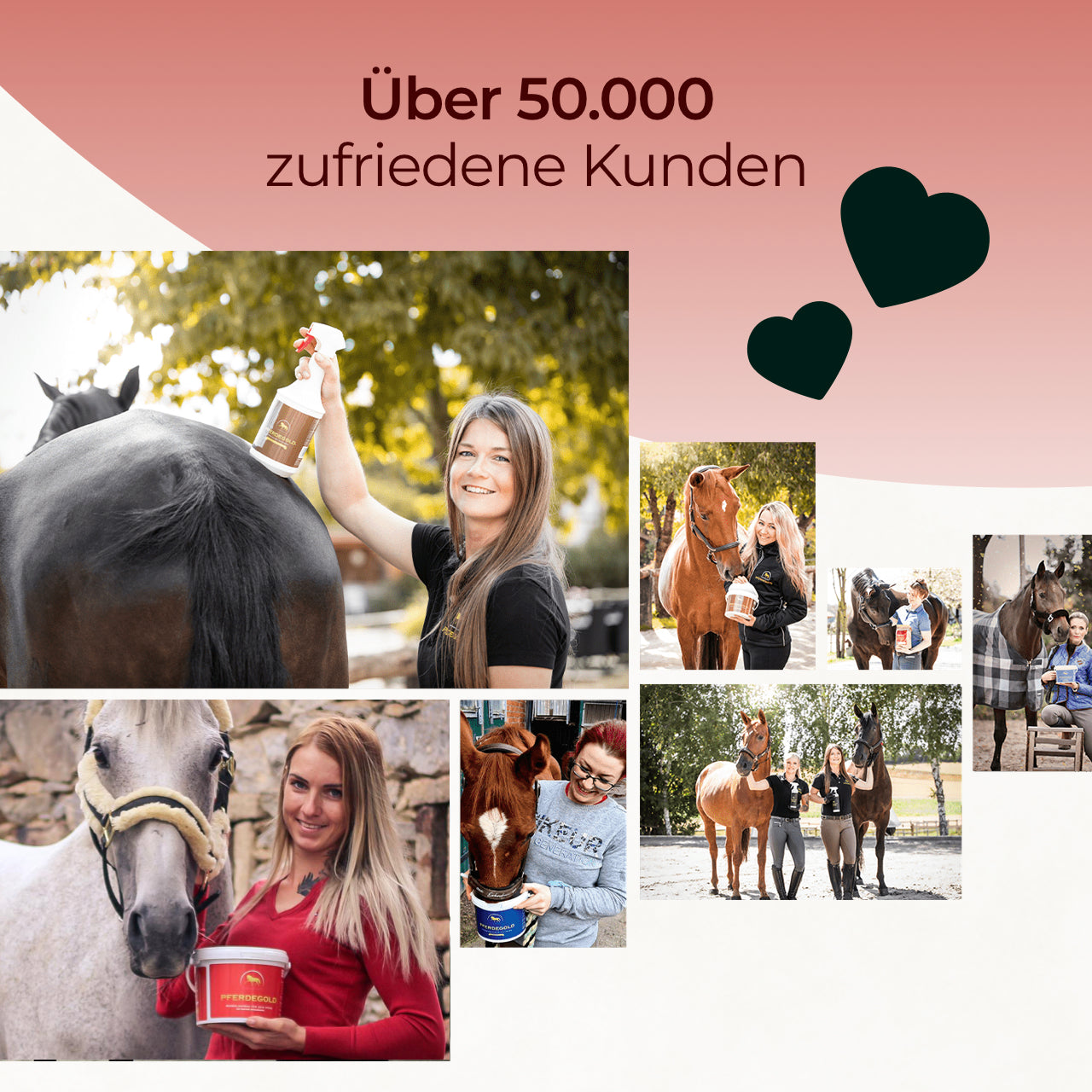 Pferdegold® Mangan – Spurenelement-Ergänzung für Pferde mit Leinsaat & Spirulina