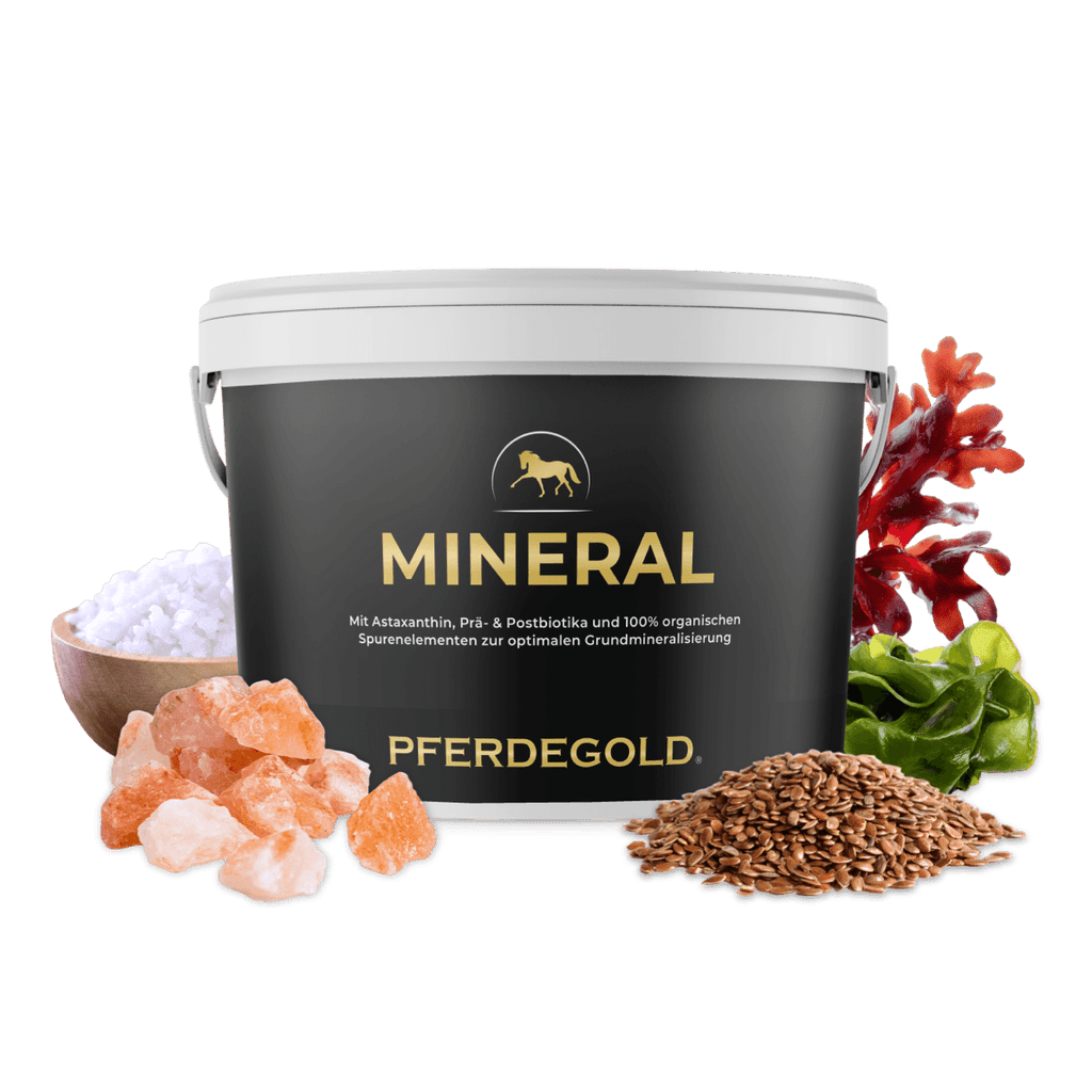 Pferdegold® Mineral 2.0 – Mineralfutter für Pferde mit Spurenelementen & Omega 3
