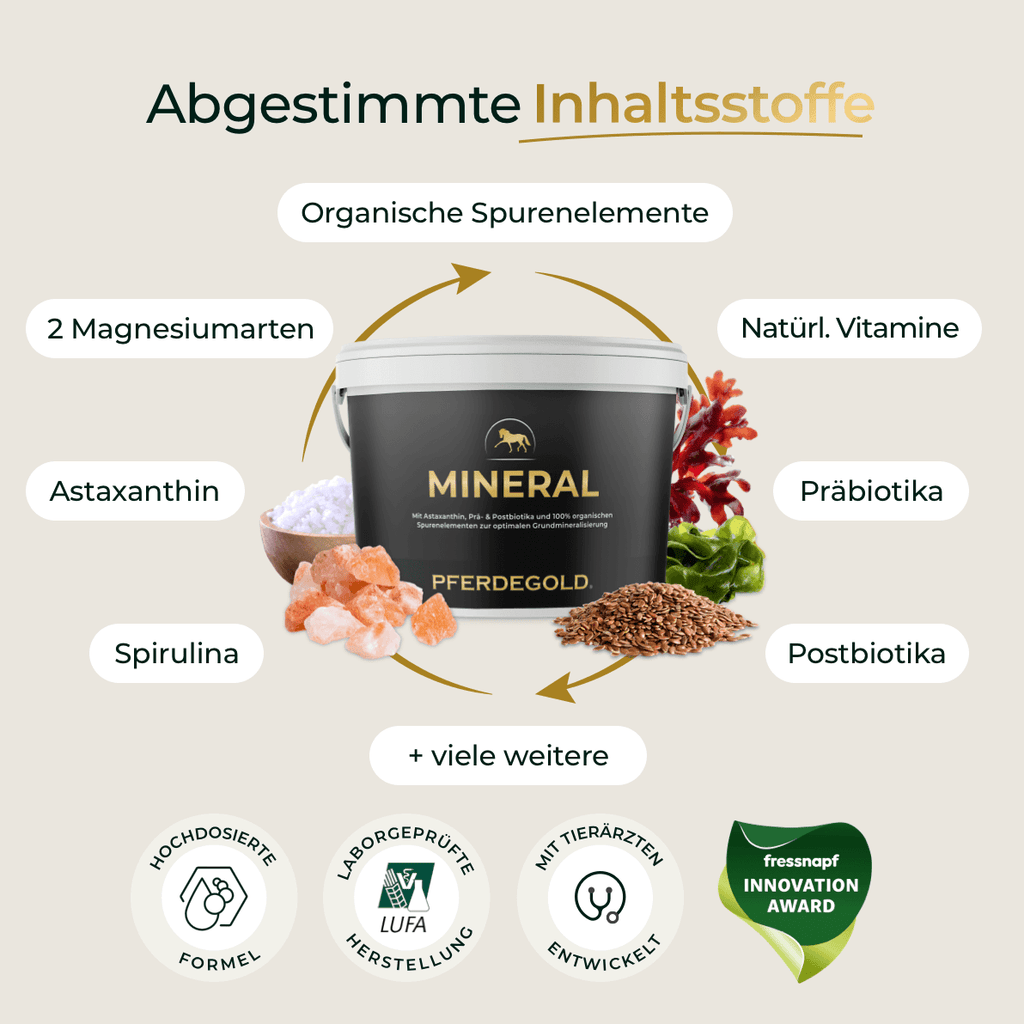 Pferdegold® Mineral 2.0 – Mineralfutter für Pferde mit Spurenelementen & Omega 3