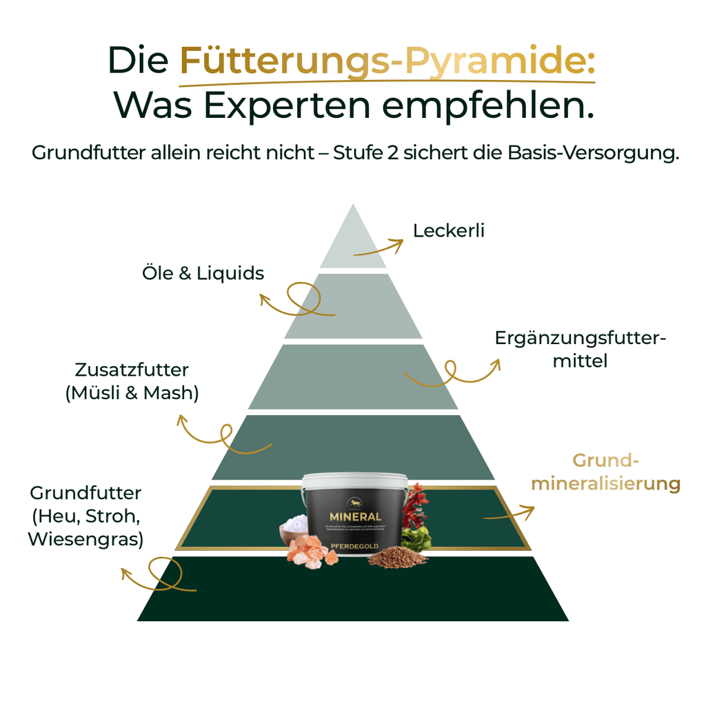 Pferdegold® Mineral 2.0 – Mineralfutter für Pferde mit Spurenelementen & Omega 3