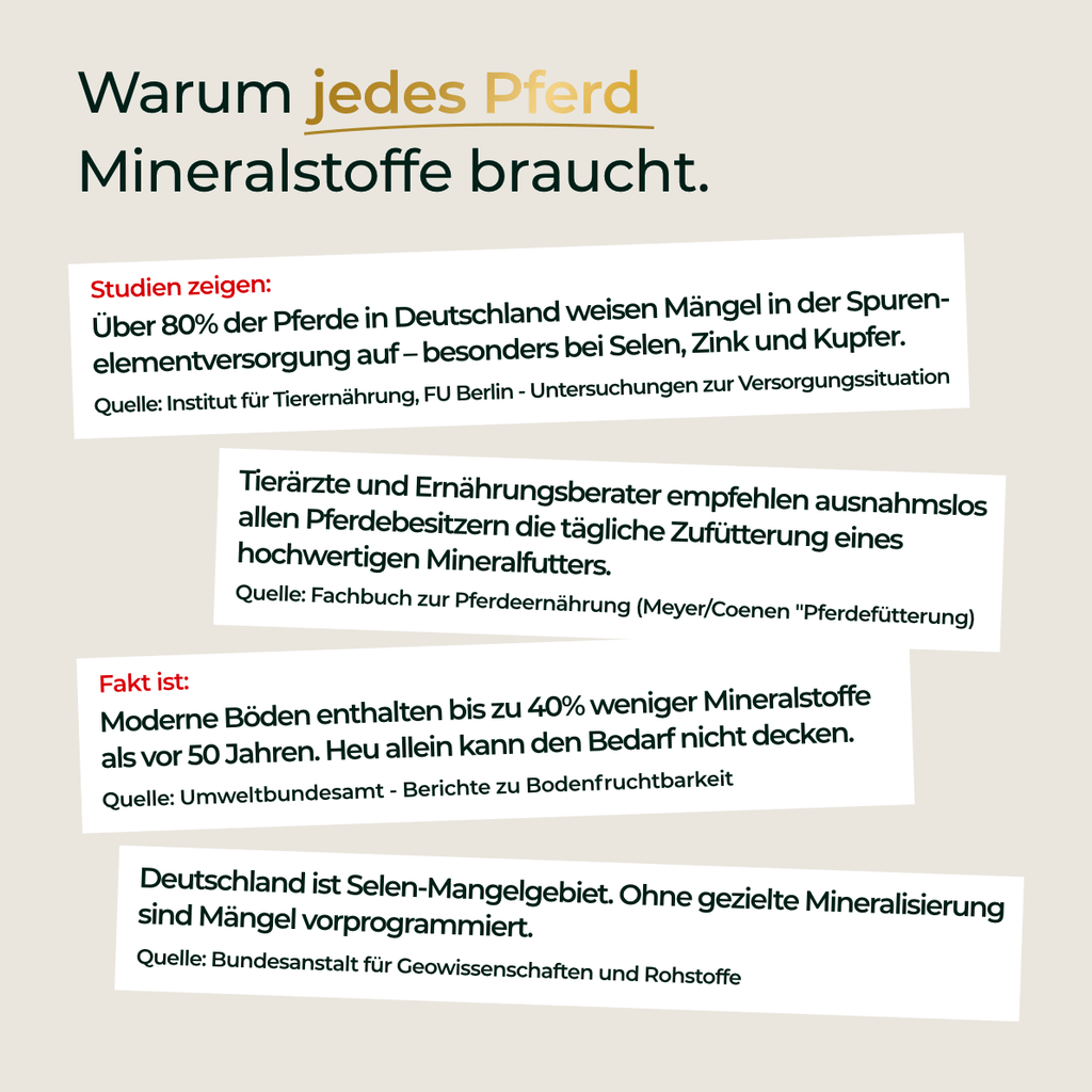 Pferdegold® Mineral 2.0 – Mineralfutter für Pferde mit Spurenelementen & Omega 3