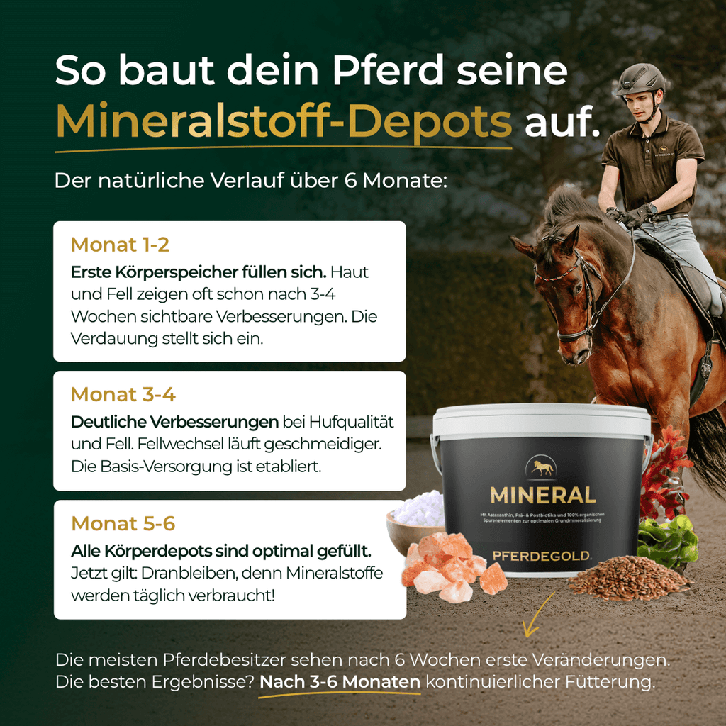 Pferdegold® Mineral 2.0 – Mineralfutter für Pferde mit Spurenelementen & Omega 3