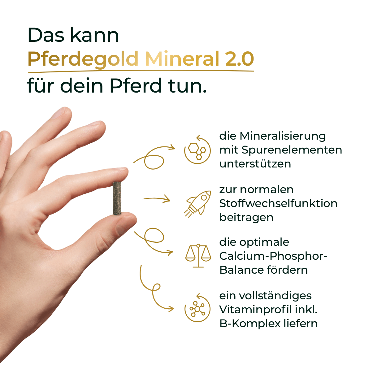 Pferdegold® Mineral 2.0 – Mineralfutter für Pferde mit Spurenelementen & Omega 3