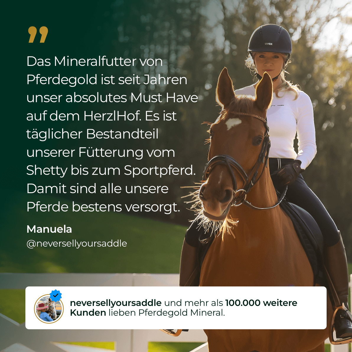 Pferdegold® Mineral 2.0 – Mineralfutter für Pferde mit Spurenelementen & Omega 3
