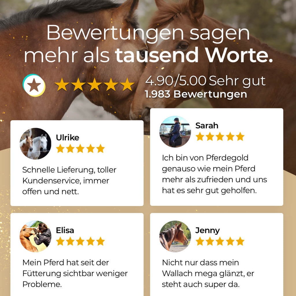 Pferdegold® Massagestriegel – Fellpflege & Striegel für Pferde