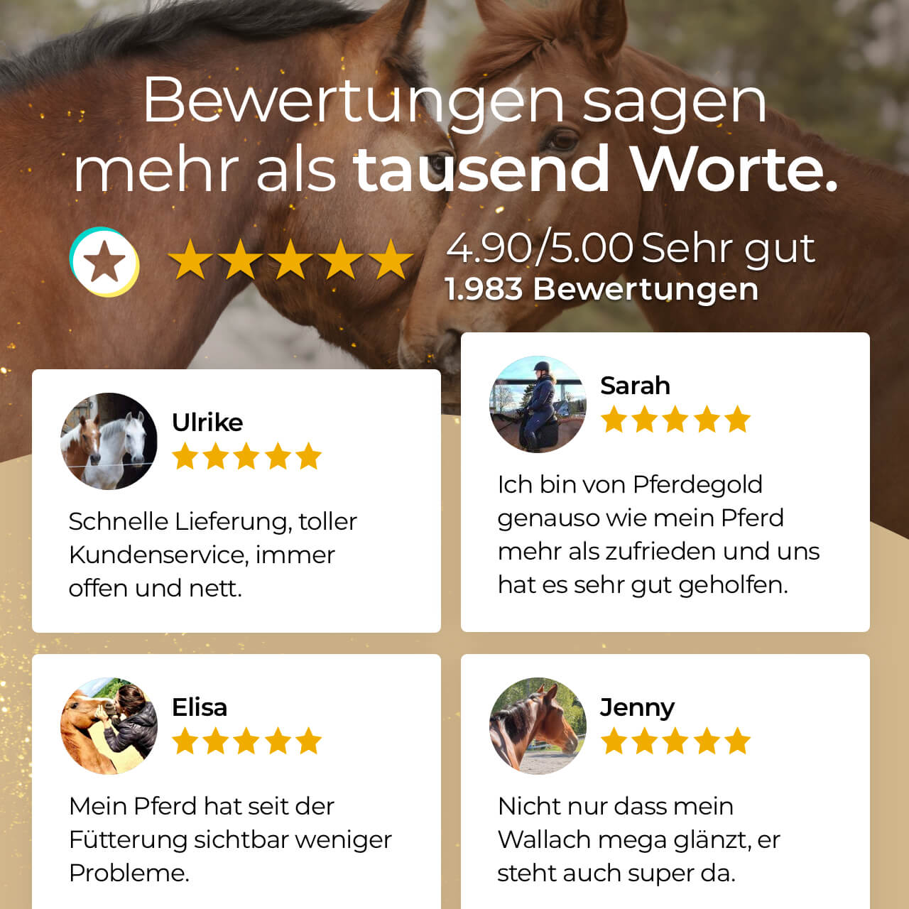 Pferdegold® Massagestriegel – Fellpflege & Striegel für Pferde