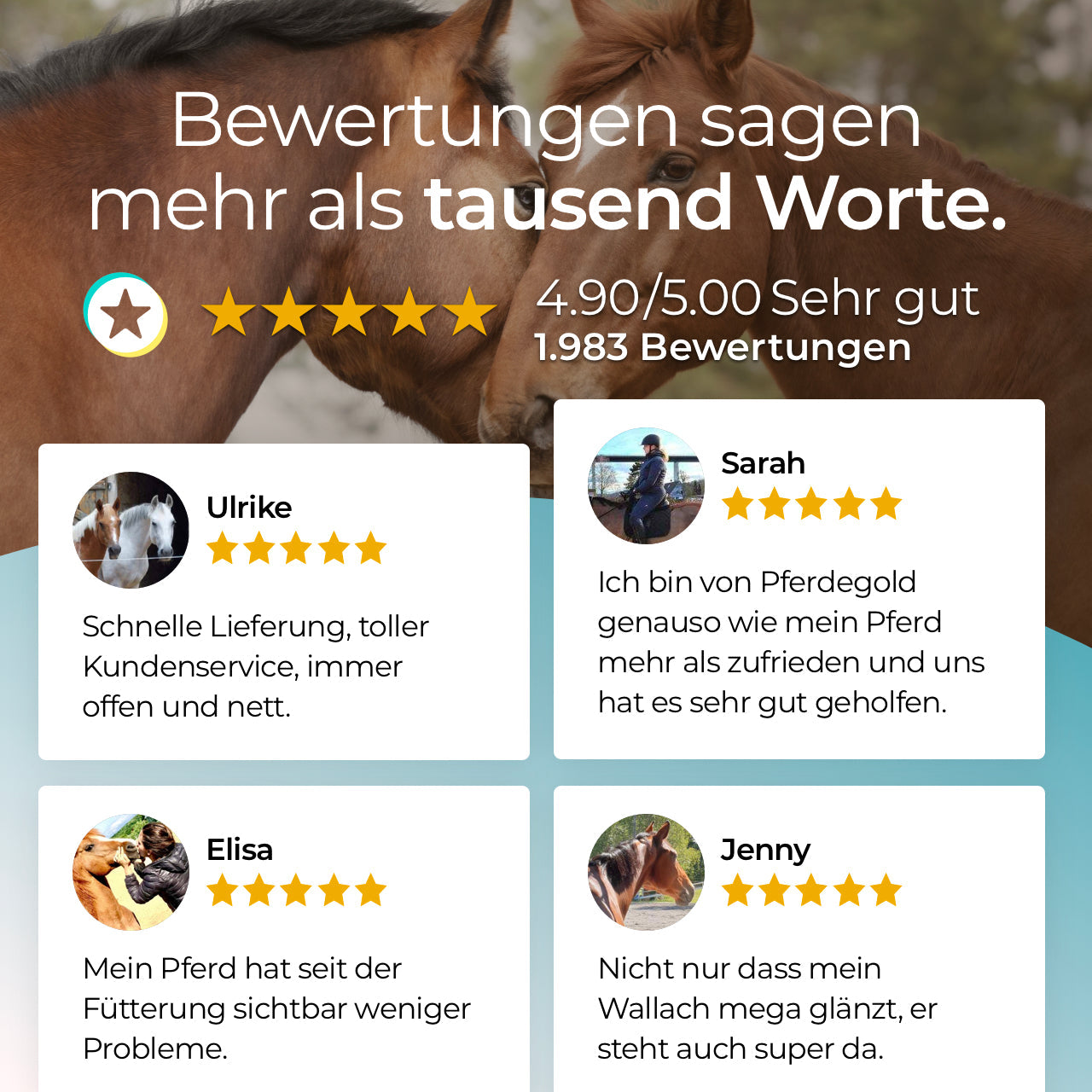 Pferdegold® MSM – Organischer Schwefel für Gelenke & Bindegewebe beim Pferd 1,5 kg