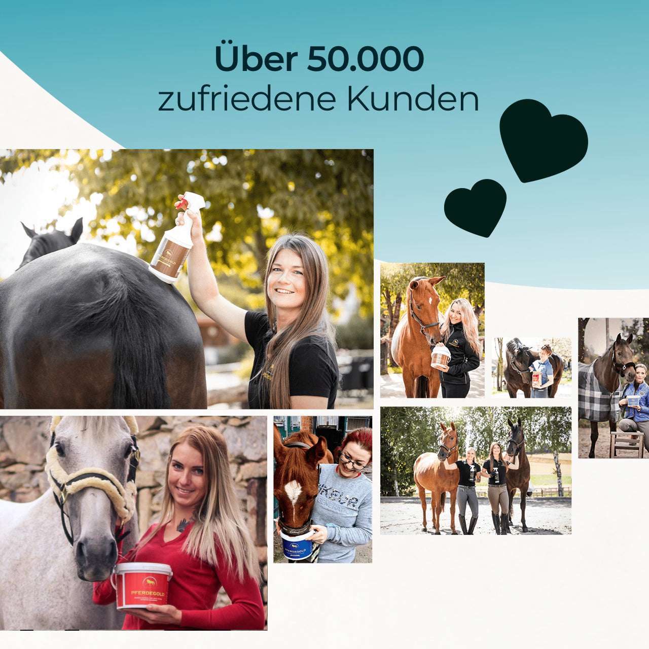Pferdegold® MSM – Organischer Schwefel für Gelenke & Bindegewebe beim Pferd 1,5 kg
