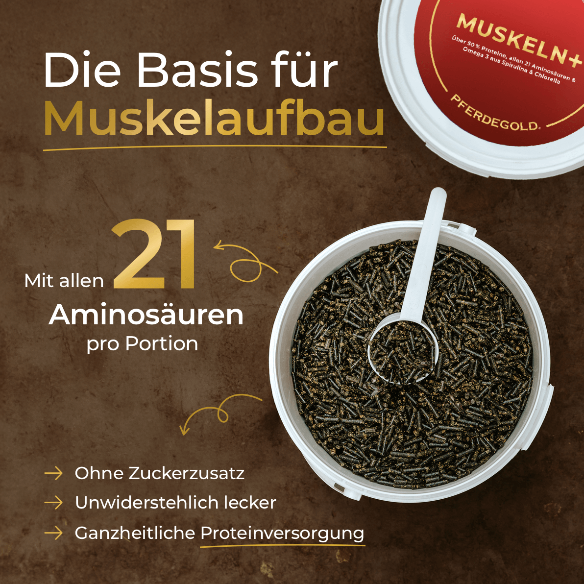 Pferdegold® Muskeln+ 2.0 – Muskelaufbau-Ergänzung für Pferde mit pflanzlichen Proteinen