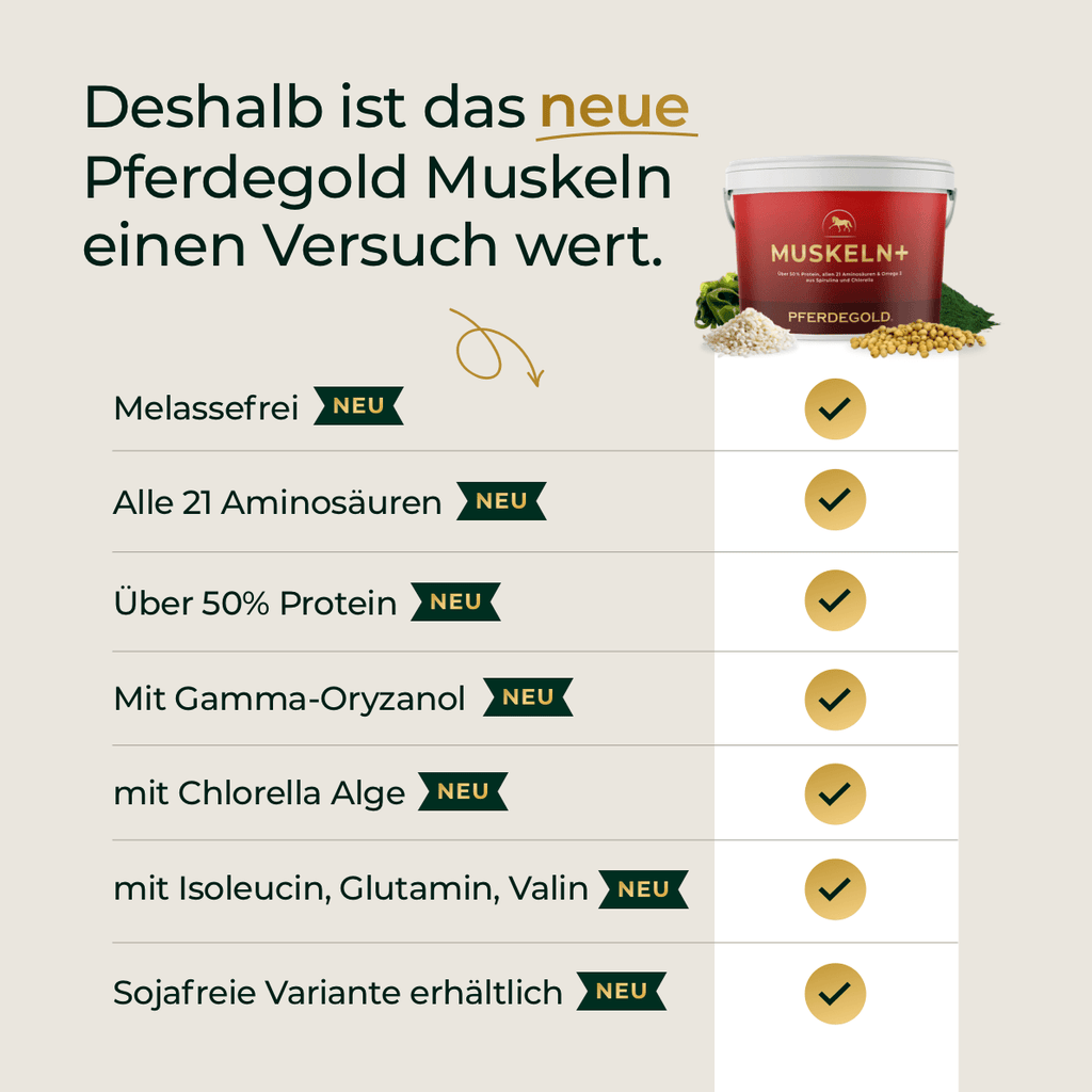 Pferdegold® Muskeln+ 2.0 – Muskelaufbau-Ergänzung für Pferde mit pflanzlichen Proteinen