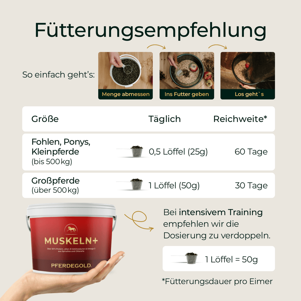 Pferdegold® Muskeln+ 2.0 – Muskelaufbau-Ergänzung für Pferde mit pflanzlichen Proteinen