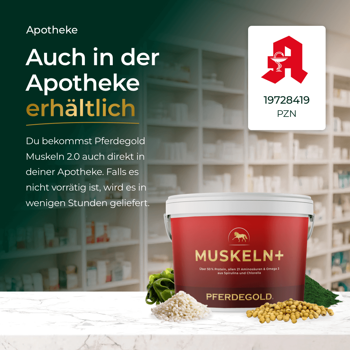 Pferdegold® Muskeln+ 2.0 – Muskelaufbau-Ergänzung für Pferde mit pflanzlichen Proteinen