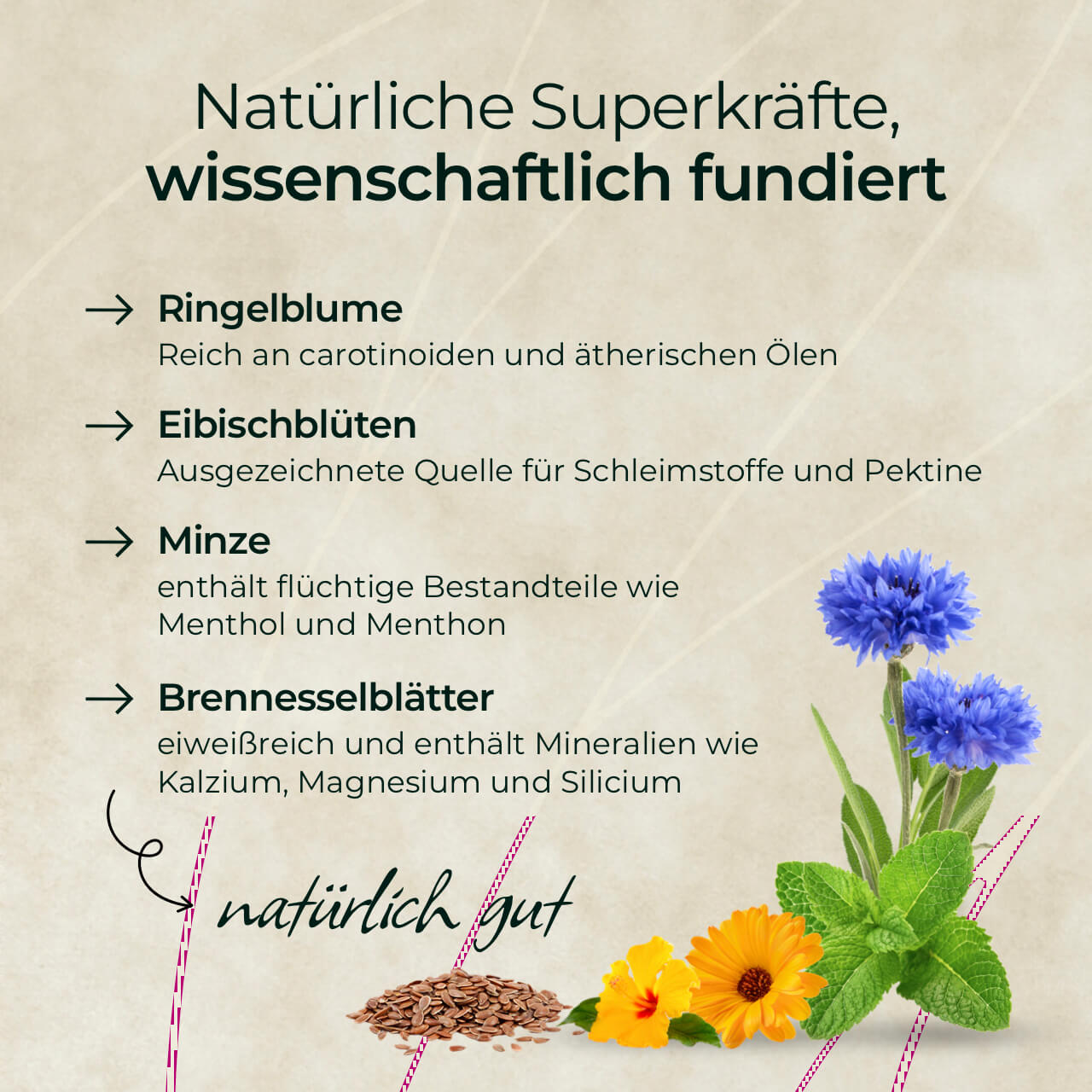 Pferdegold® Goldmüsli® Kräuter Glück – Kräutermüsli für Pferde