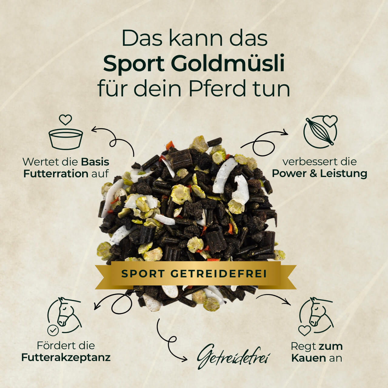 Pferdegold® Goldmüsli® Sport Getreidefrei – Pferdefutter für sportliche Pferde