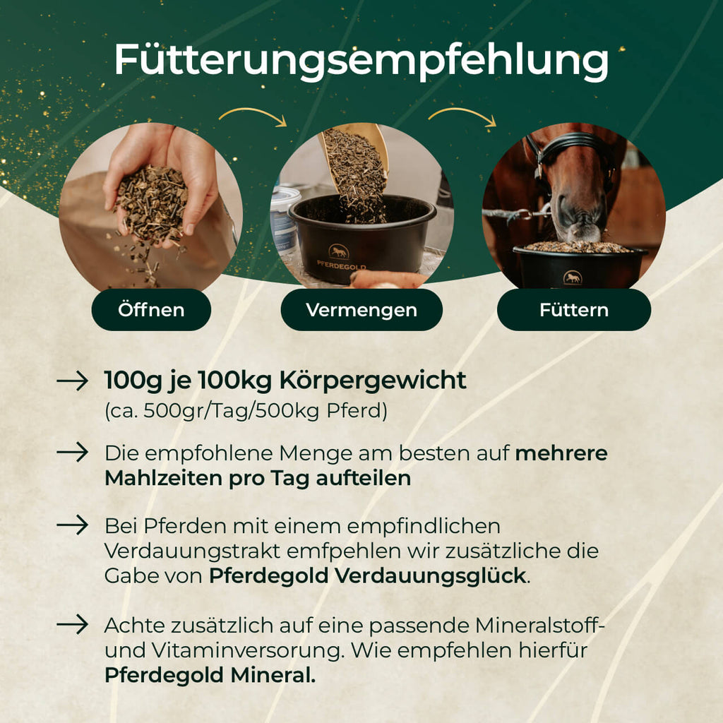 Pferdegold® Goldmüsli® Sport Getreidefrei – Pferdefutter für sportliche Pferde