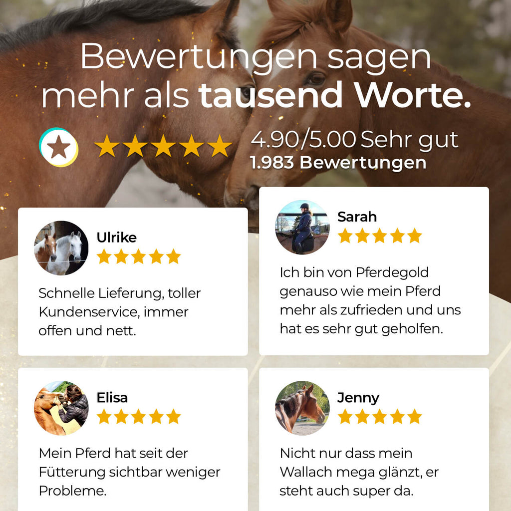 Pferdegold® Goldmüsli® Sport Getreidefrei – Pferdefutter für sportliche Pferde