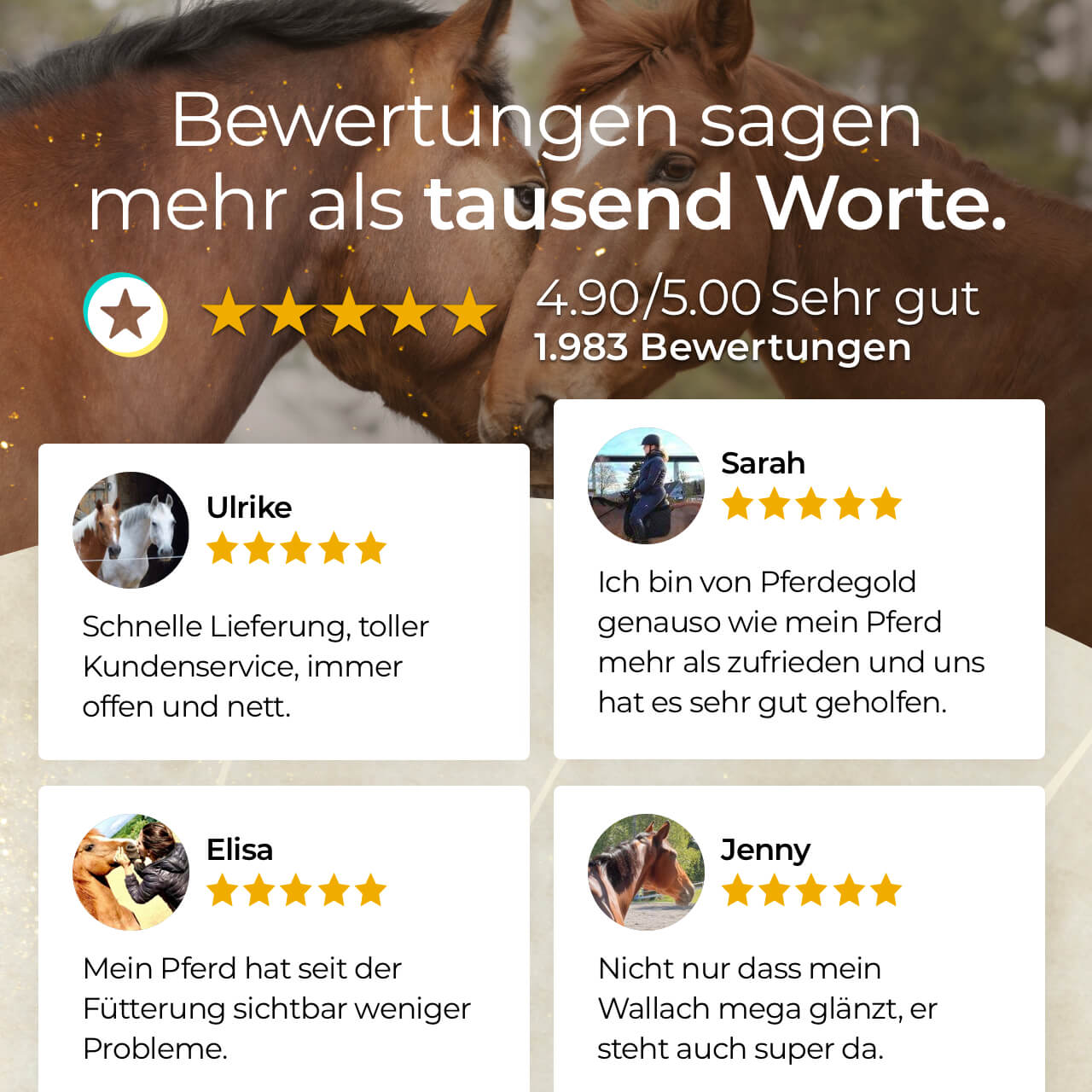 Pferdegold® Goldmüsli® Sport Getreidefrei – Pferdefutter für sportliche Pferde