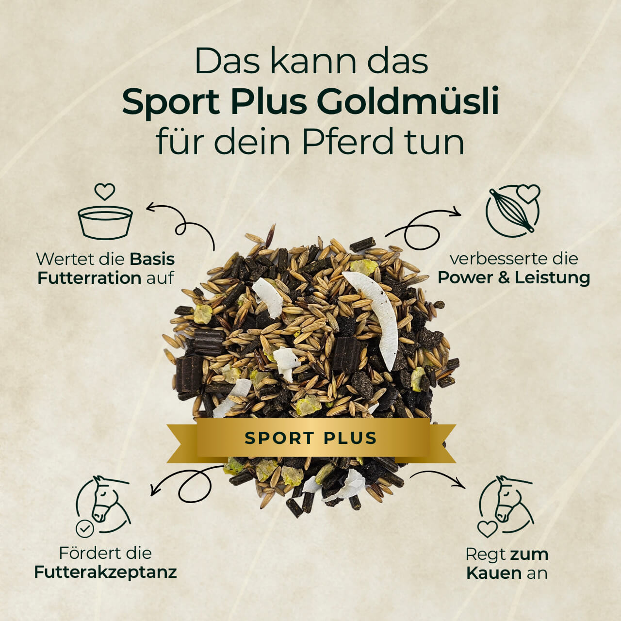 Pferdegold® Goldmüsli® Sport Plus – Pferdemüsli für sportlich aktive Pferde