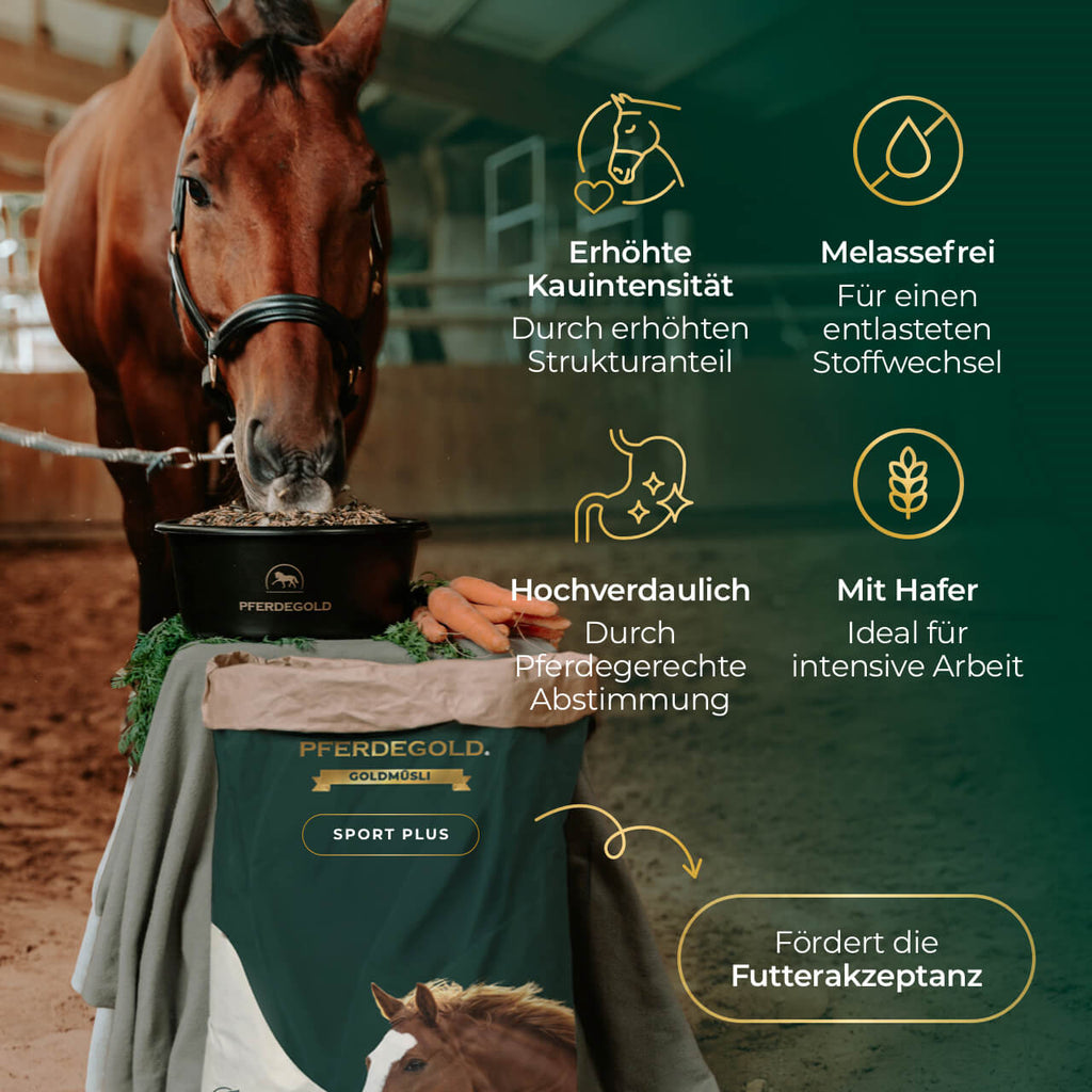 Pferdegold® Goldmüsli® Sport Plus – Pferdemüsli für sportlich aktive Pferde