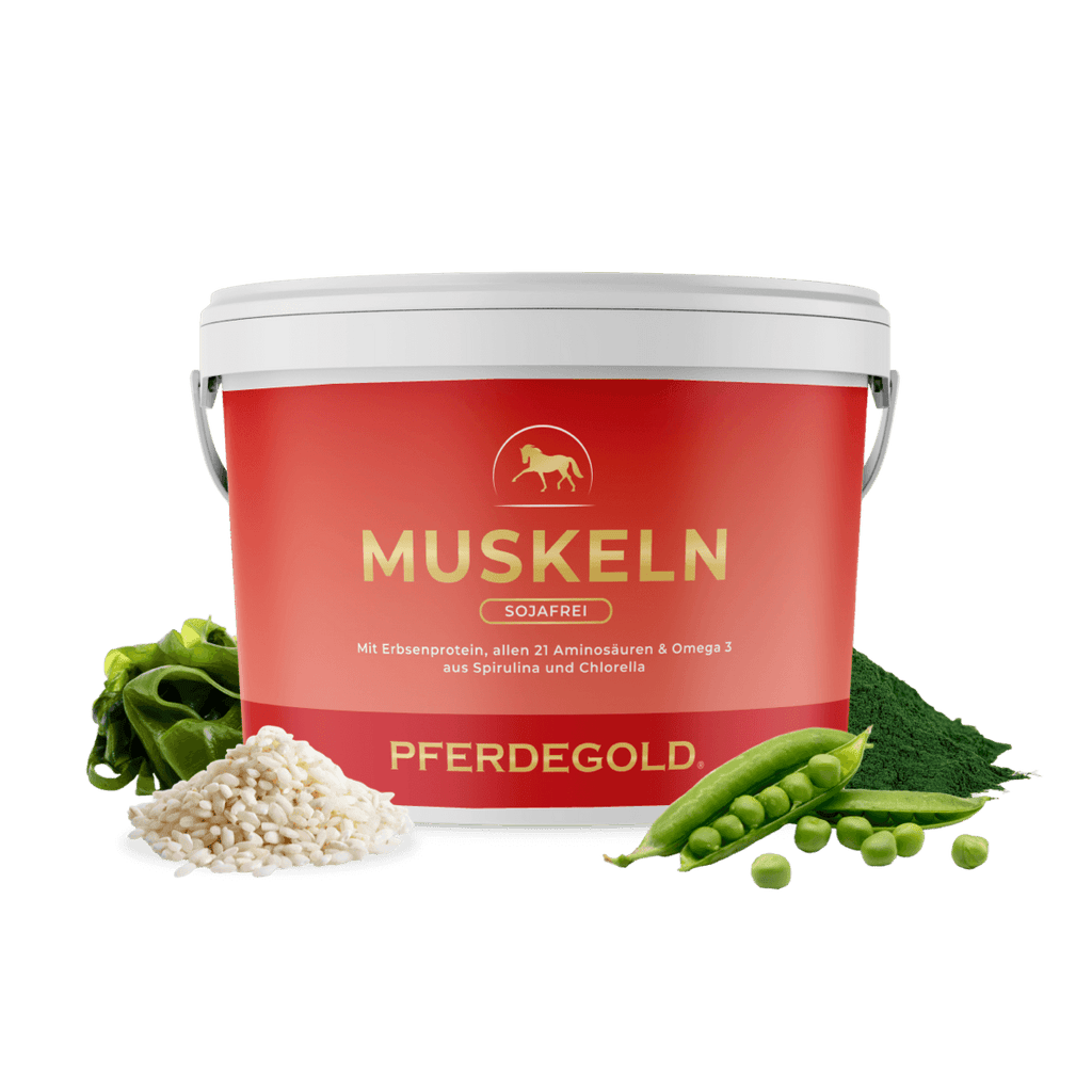 Pferdegold® Muskeln 2.0 Sojafrei – Muskelaufbau-Ergänzung für Pferde 1,5 kg