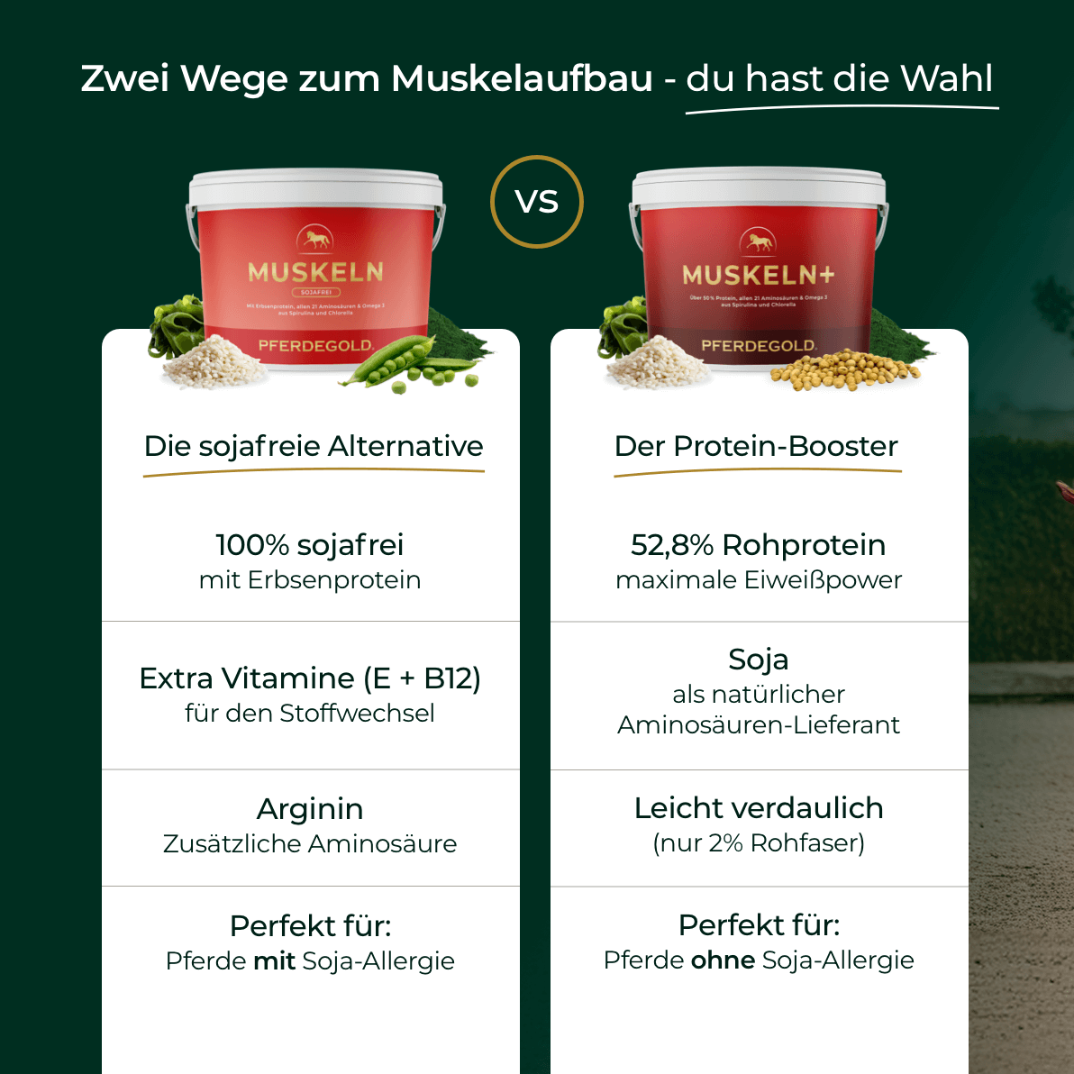 Pferdegold® Muskeln 2.0 Sojafrei – Muskelaufbau-Ergänzung für Pferde 1,5 kg