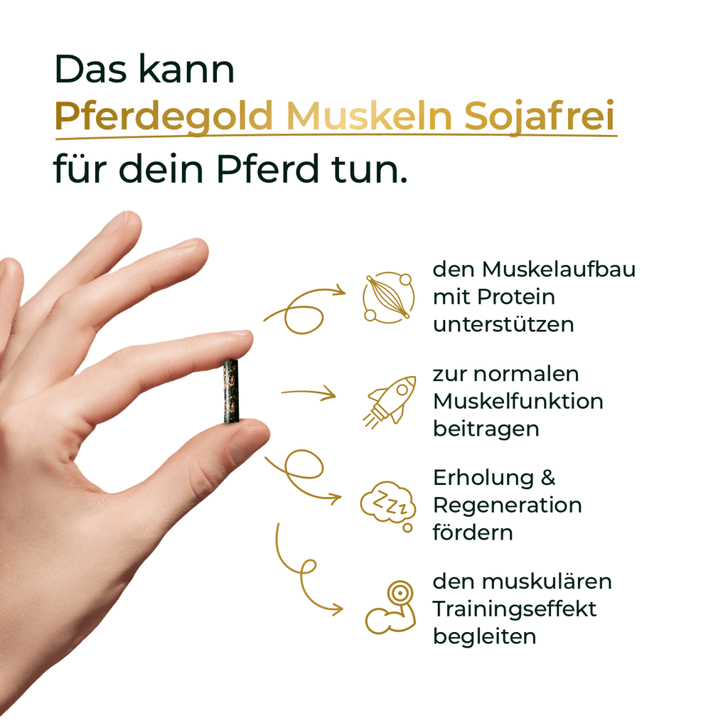 Pferdegold® Muskeln 2.0 Sojafrei – Muskelaufbau-Ergänzung für Pferde 1,5 kg