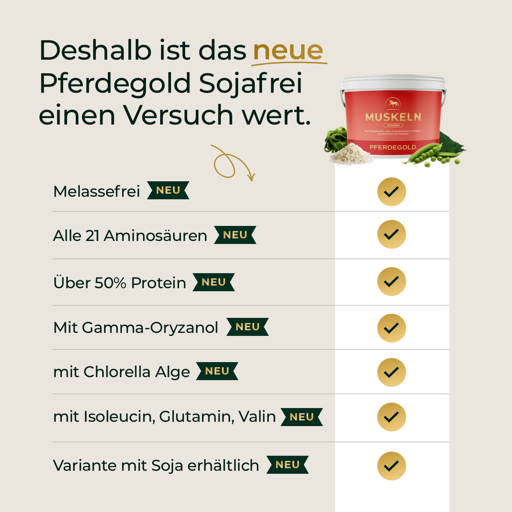 Pferdegold® Muskeln 2.0 Sojafrei – Muskelaufbau-Ergänzung für Pferde 1,5 kg