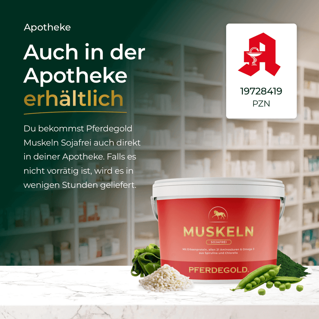 Pferdegold® Muskeln 2.0 Sojafrei – Muskelaufbau-Ergänzung für Pferde 1,5 kg