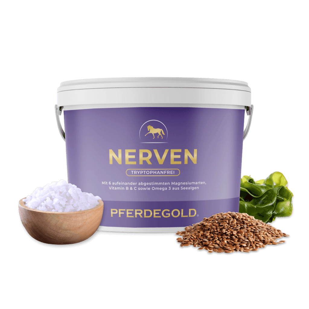 Pferdegold® Nerven 2.0 – Magnesium-Ergänzungsfutter für Pferde
