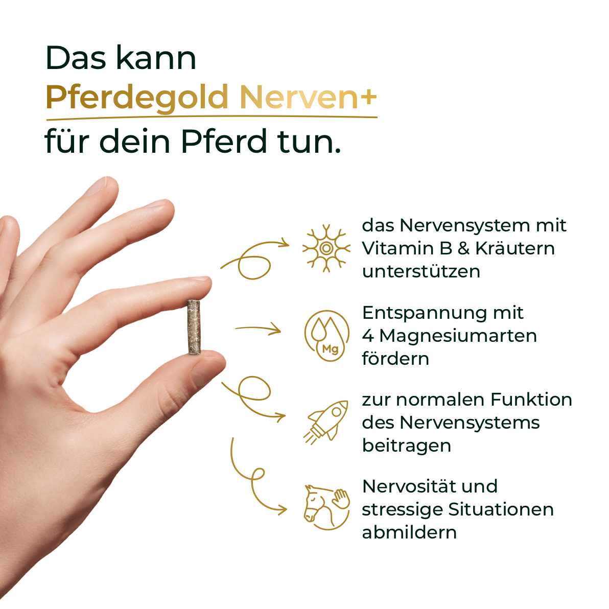 Pferdegold® Nerven+ mit Tryptophan – Ergänzung für nervöse Pferde