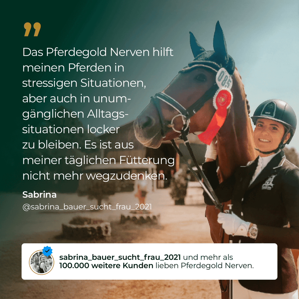 Pferdegold® Nerven+ mit Tryptophan – Ergänzung für nervöse Pferde