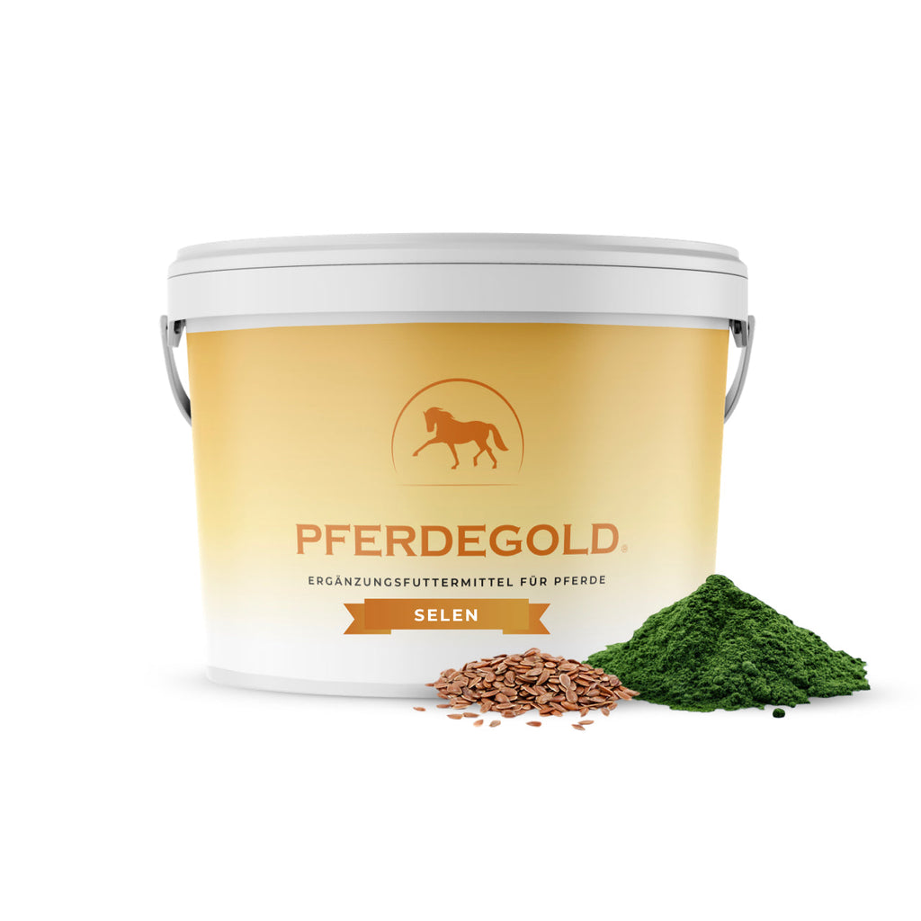 Pferdegold® Selen – Dual-Selen-Formel Ergänzungsfutter für Pferde 1,5 kg