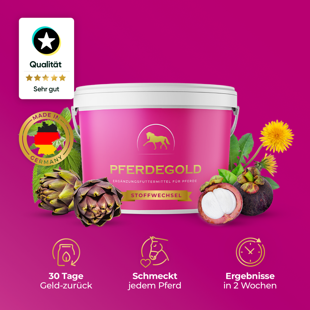 Pferdegold® Stoffwechsel – Ergänzungsfutter für Pferde mit Magnesium & Kräutern