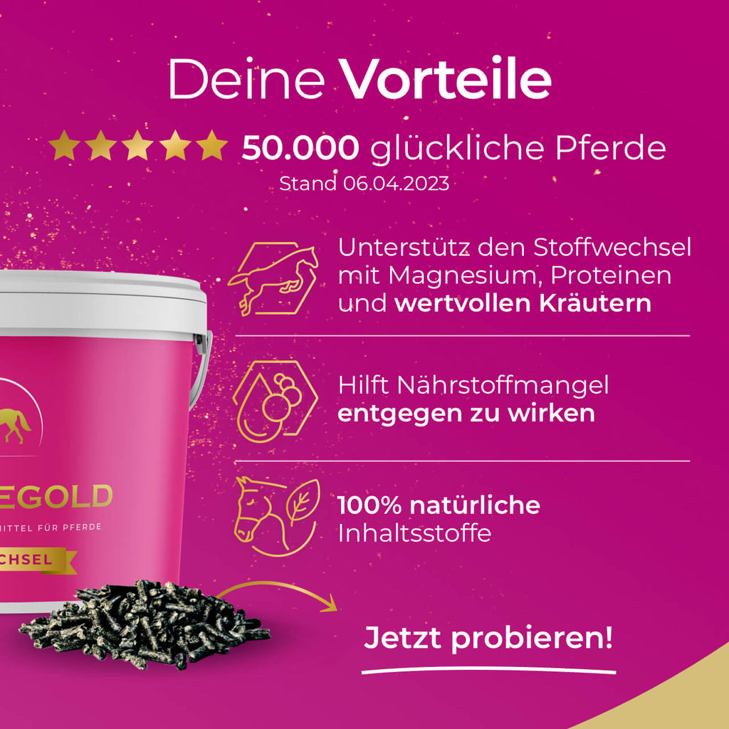 Pferdegold® Stoffwechsel – Ergänzungsfutter für Pferde mit Magnesium & Kräutern