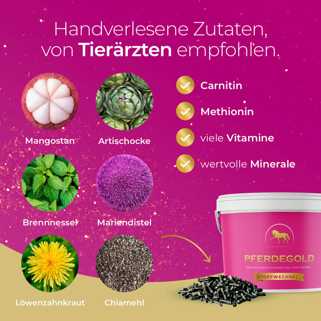 Pferdegold® Stoffwechsel – Ergänzungsfutter für Pferde mit Magnesium & Kräutern