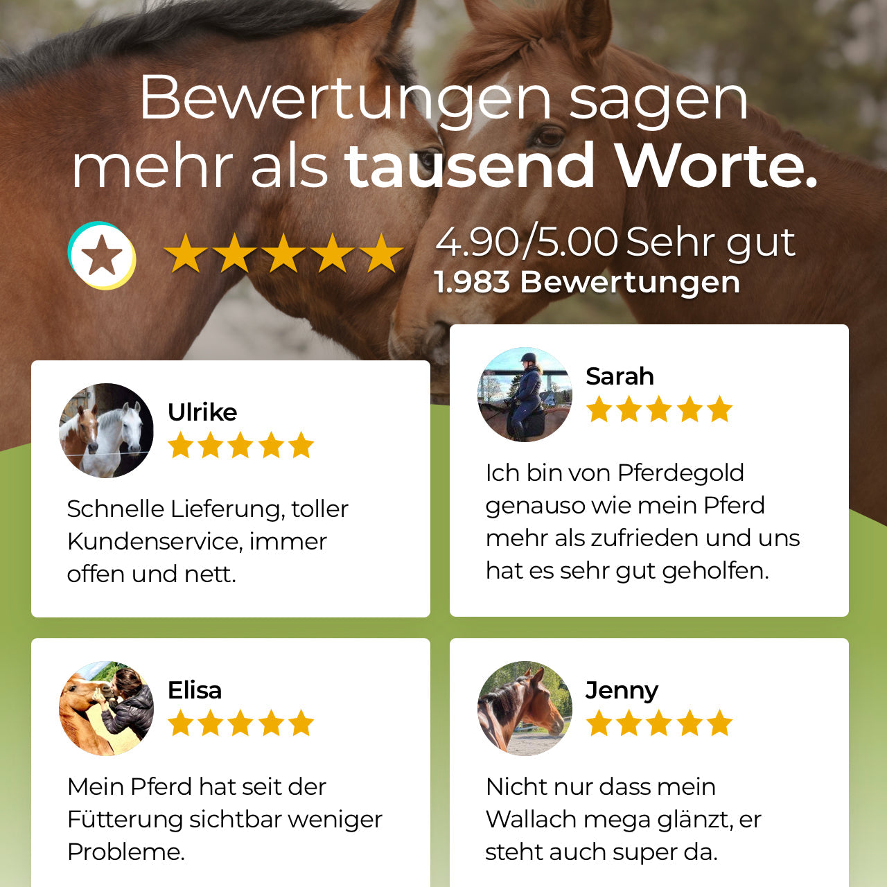 Pferdegold® Zink – Triple-Zink-Formel Ergänzungsfutter für Pferde 1,5 kg