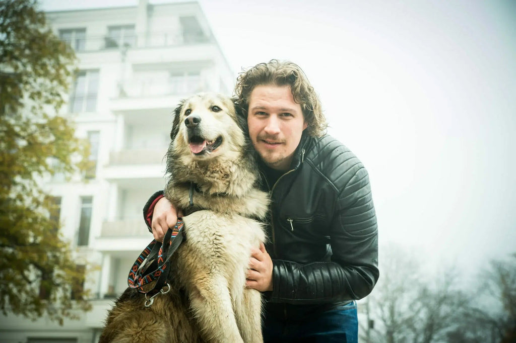 MyPetClub High Protein - TierVita