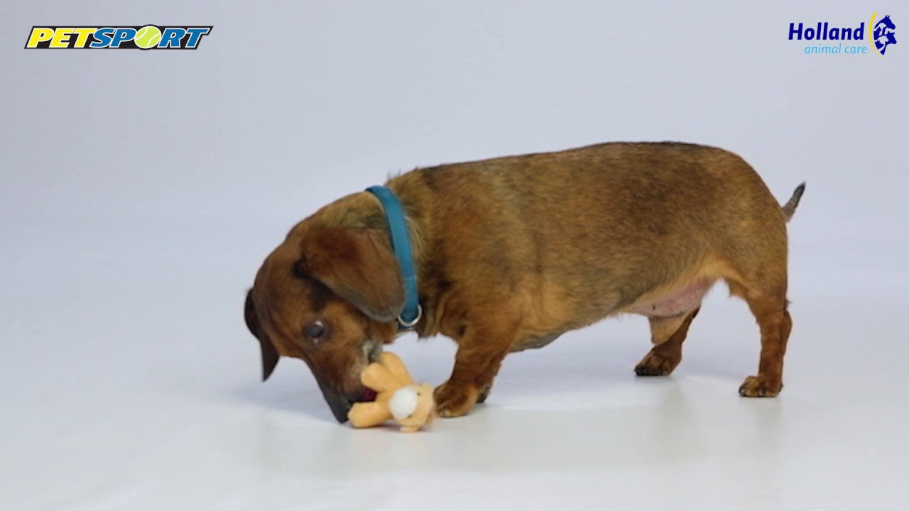 Petsport Tiny Tots Teddy Braun