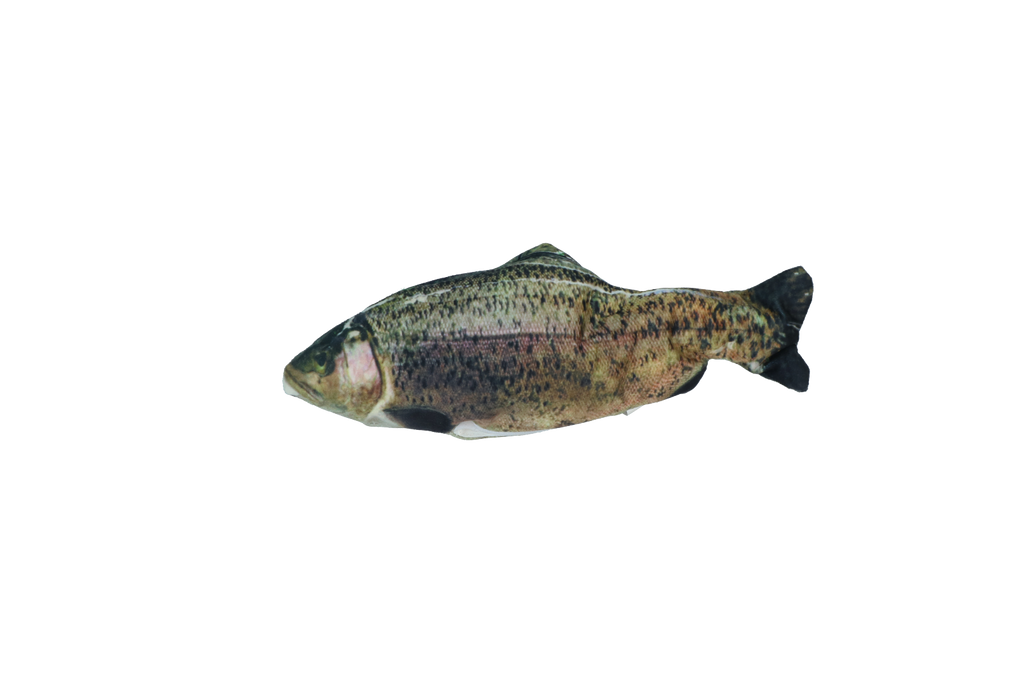 Robocat Fish Forelle