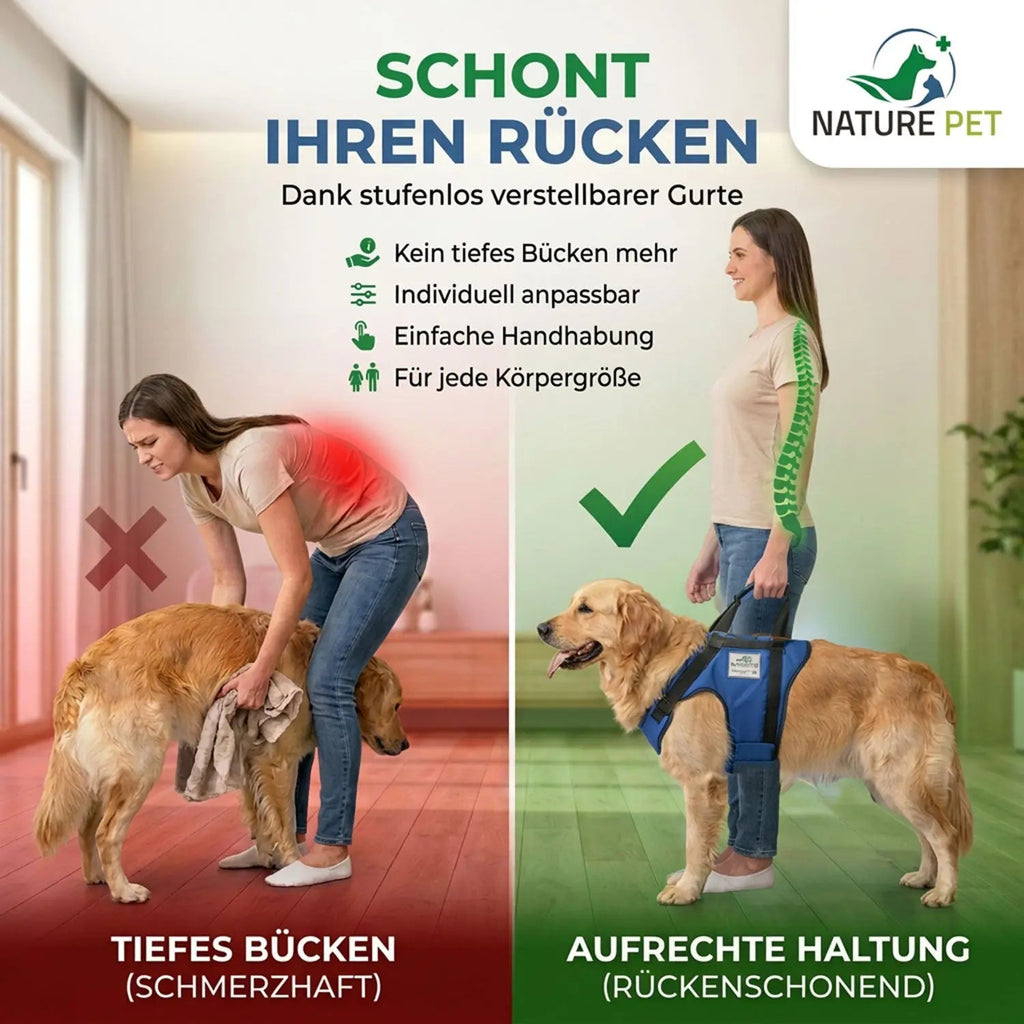 Vordere Tragehilfe für Hunde